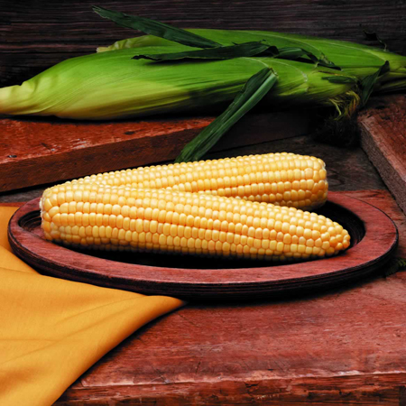 Porumb la grătar prăjit în pănuşă