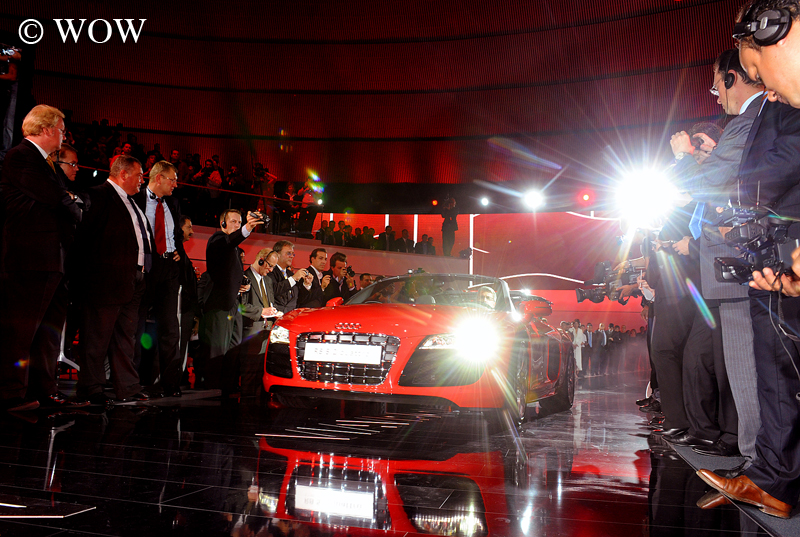 Presenting...the spider