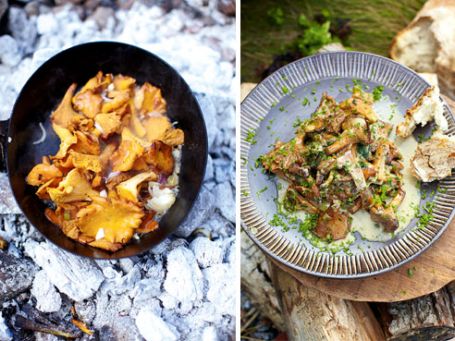 ciuperci cremoase ciuperci cremoase